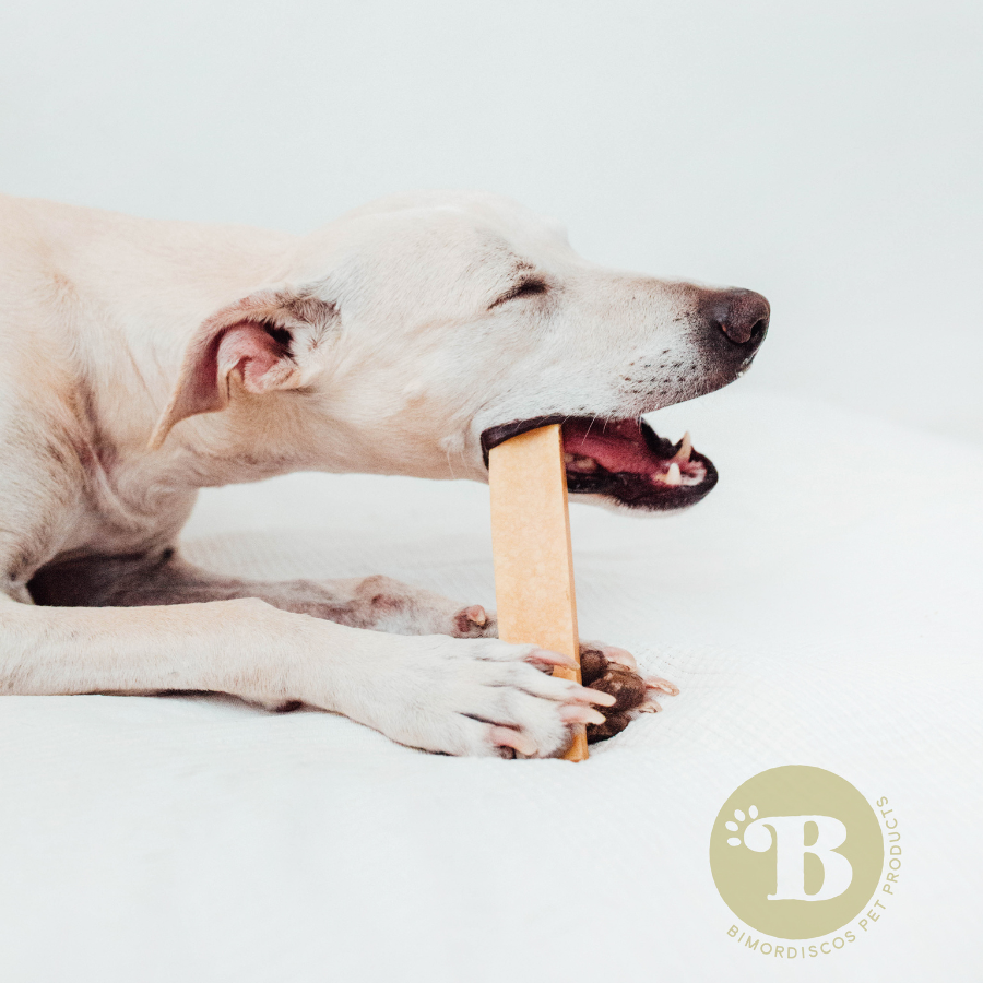 BIMORDISCOS Snack de Queso de vaca para perros. Tama&ntilde;o XL (110-140g), , large Imagen numero 5